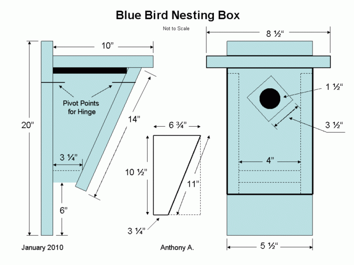 Eastern bluebird house design