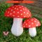 Mushroom Decor for Kitchen A Spiritual Transformation