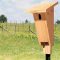 Eastern Bluebird House Design Guide