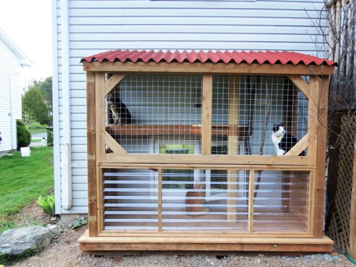 Cat house design outdoor