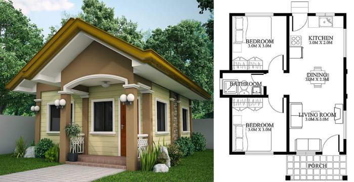 Duplex small house design