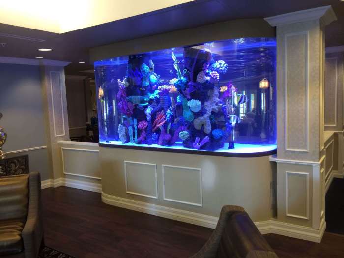 Fish tank decor ideas