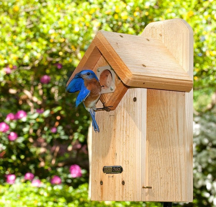 Eastern bluebird house design