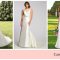 Wedding Dresses Under $2000 A Guide